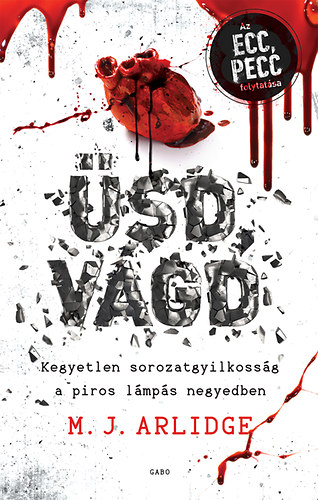 M.J. Arlidge - sd, vgd