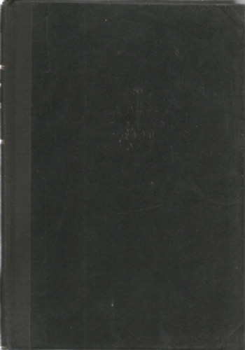 Schneller Lajos - A Szent Föld