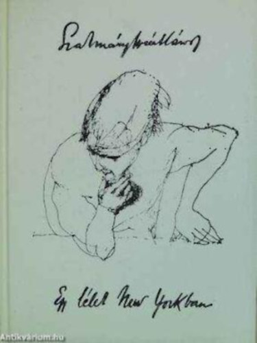Szakm�ry We�r K�roly - Egy l�lek New Yorkban (Szalay Lajos rajzaival)
