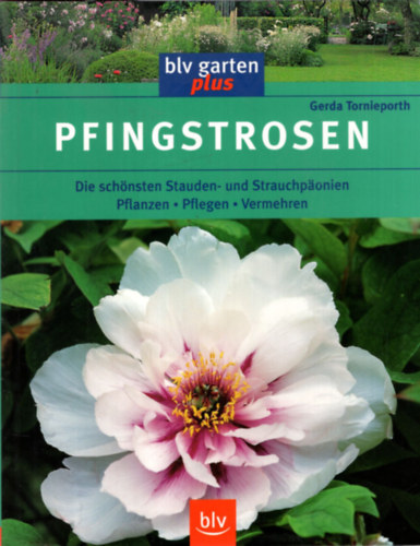 Gerda Tornieporth - Pfinstrosen - blv garten plus
