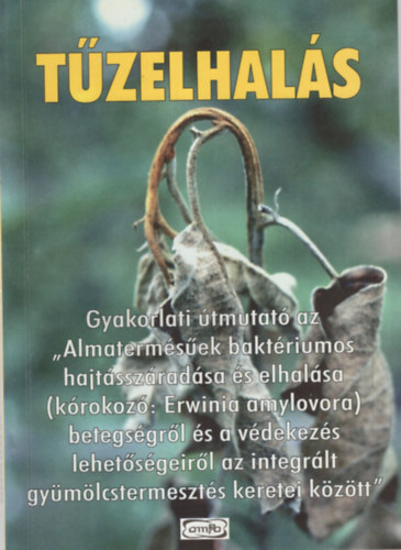 Dr. Bubn Tams, Dr. Nmeth Jzsef, Sallai Pl - Tzelhals