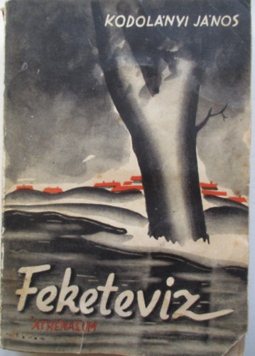 Kodol�nyi J�nos - Feketev�z