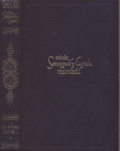 Vitz Somogyvry Gyula (Gyula Dik) - vitz Somogyvry Gyula munki - A vros meg a srkny