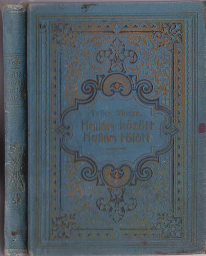 Teller Vincze - Hull�m k�z�tt - Hull�m f�l�tt (elbesz�l�sek)