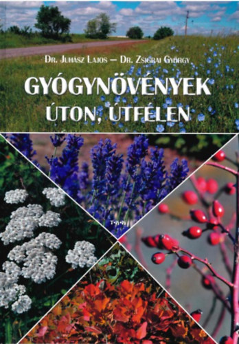 Dr. Juhsz Lajos, Dr. Zsigrai Gyrgy - Gygynvnyek ton, tflen