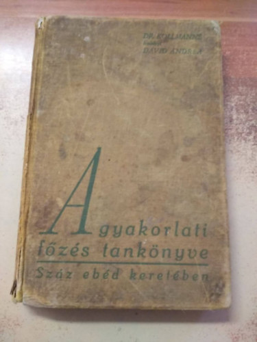 Kollmann Lemhnyi Dvid Andrea - A gyakorlati fzs tanknyve  - szz ebd keretben