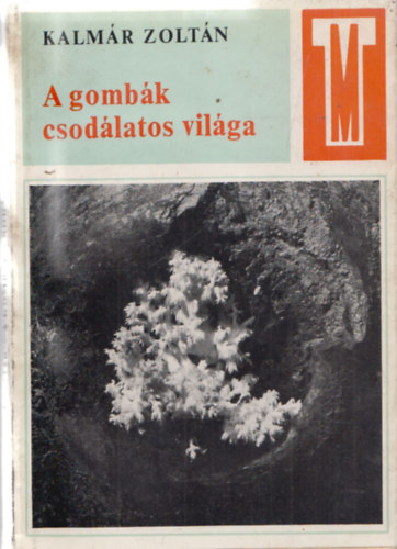 Kalmr Zoltn - A gombk csodlatos vilga