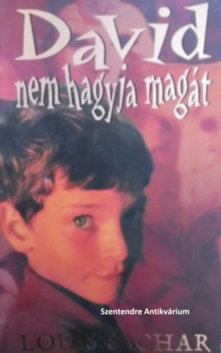 Louis Sachar - David nem hagyja mag�t - 2004-es kiad�s