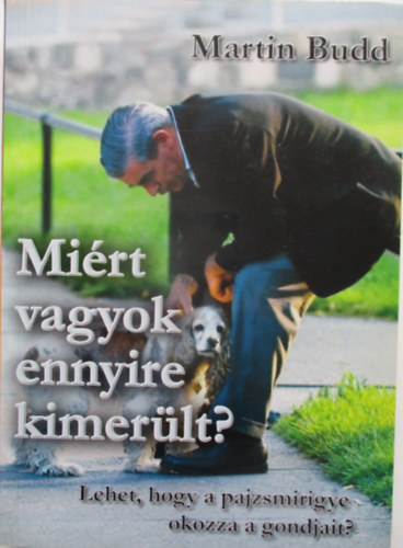 Martin Budd - Miért vagyok ennyire kimerült?