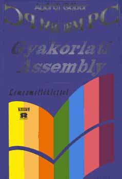 Agrdi Gbor - Gyakorlati Assembly