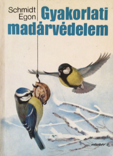 Schmidt Egon - Gyakorlati madrvdelem