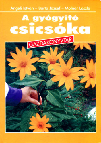 Angeli-Barta-Molnr - A gygyt csicska