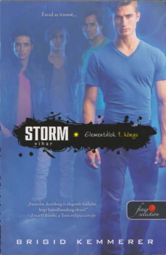 Brigid Kemmerer - Vihar (Storm) (Elementlok 1. knyv)