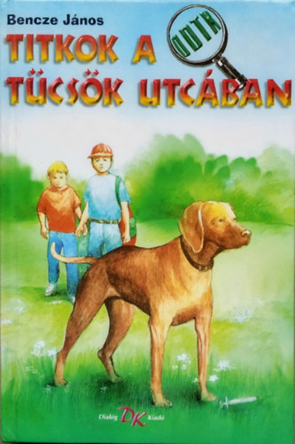 Bencze János - Titkok a Tücsök utcában