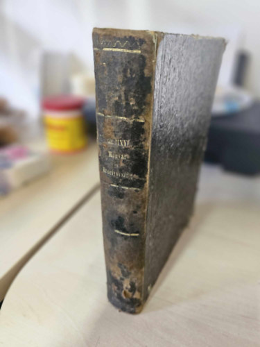 Kubinyi Ferencz �s Vahot Imre - Magyarorsz�g �s Erd�ly k�pekben I-IV.