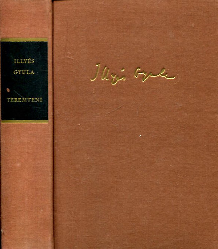 Illy�s Gyula - Teremteni
