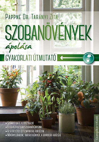 Pappn Dr. Tarnyi Zita - Szobanvnyek polsa