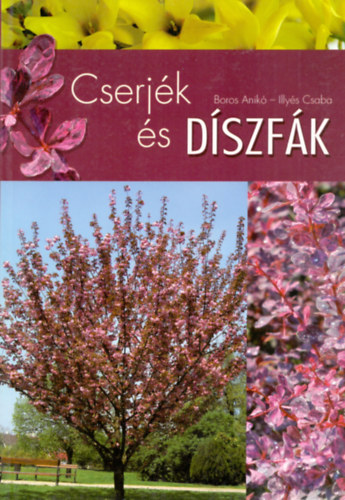 Boros Anik� - Cserj�k �s d�szf�k