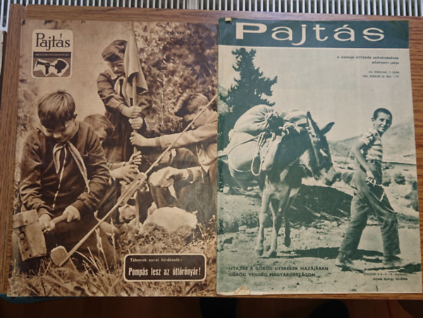 A Pajtás magazon két száma: Pompás lesz az úttörőtábor, 1968. február 18.