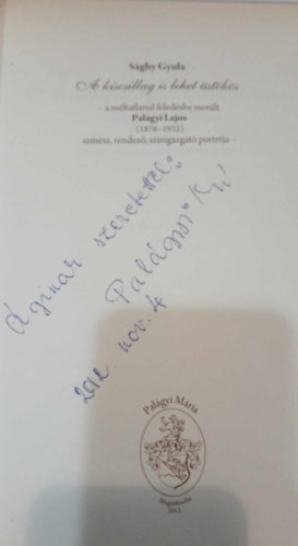 Sághy Gyula - A kiscsillag is lehet üstökös