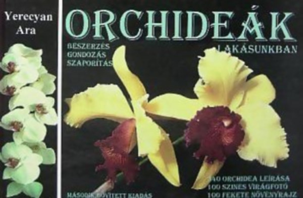 Yerecyan Ara - Orchideák lakásunkban