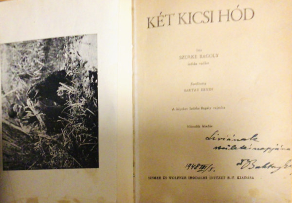 Szürke Bagoly, Baktay Ervin (ford.) - Két kicsi hód