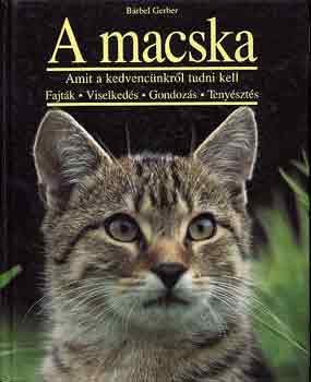 Brbel Gerbel - A macska - Amit kedvencnkrl tudni kell