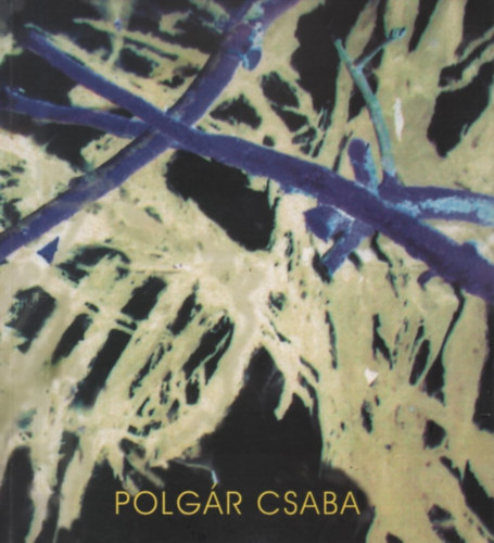 Kozk Csaba, Polgr Csaba - Polgr Csaba (Installci / Performance)