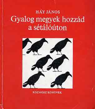 Háy János - Gyalog megyek hozzád a sétálóúton