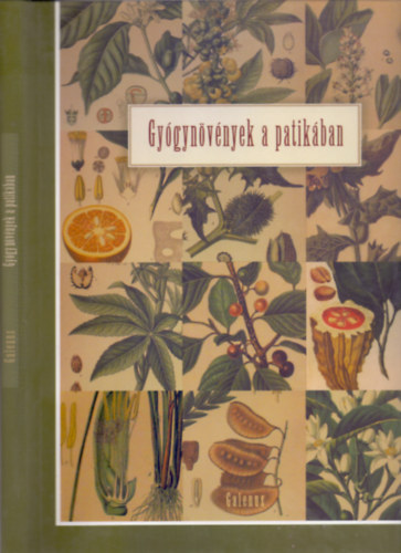 Dr. Szarvash�zi Judit (szerk.), Szakmai lektor: Prof. Dr. K�ry �gnes - Gy�gyn�v�nyek a patik�ban