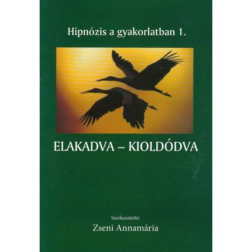 Zseni Annamria - Elakadva - kiolddva