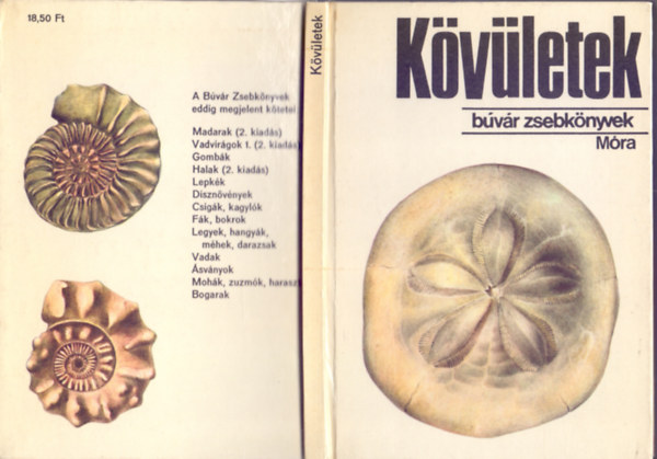 Dr. Scholz Gábor, Rajzolta: Breznay Lívia - Kövületek (Búvár Zsebkönyvek)