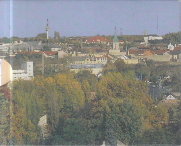 Kaposv�r egykor - Kaposv�r ma I-II. (T�rpek�nyv)- tokban