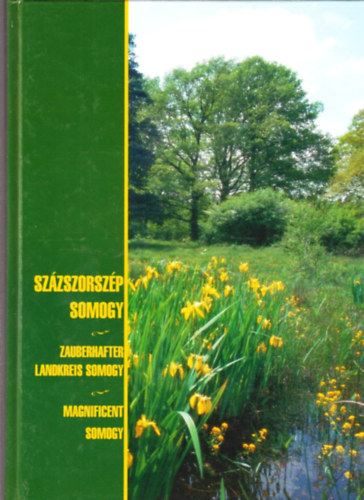 Cseicsner Endr�n� Heged�s Erik - Sz�zszorsz�p Somogy