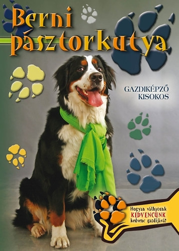 Berni psztorkutya - Gazdikpz kisokos