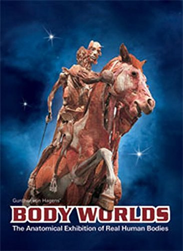 Gunther Von Hagen's - Body Worlds The Original Exhibition of Real Human Bodies