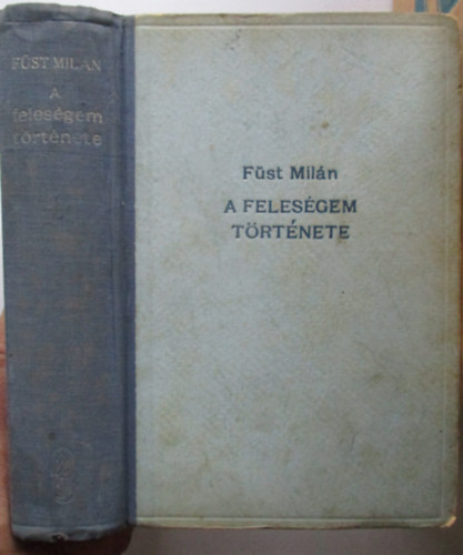 Füst Milán - A feleségem története