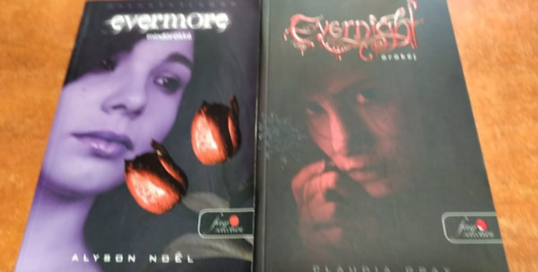 Alyson Noel, Claudia Gray - Mindrkk+rkj