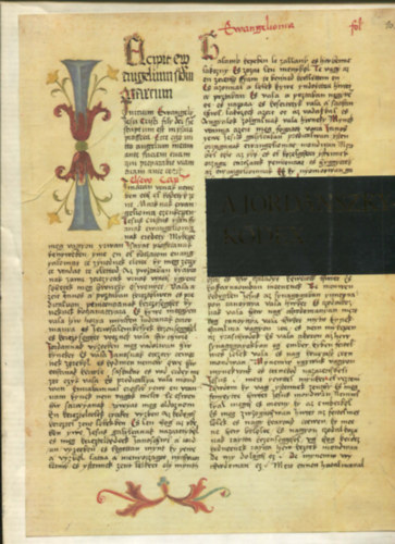 A Jordnszky-kdex I-II. (hasonms kiads)