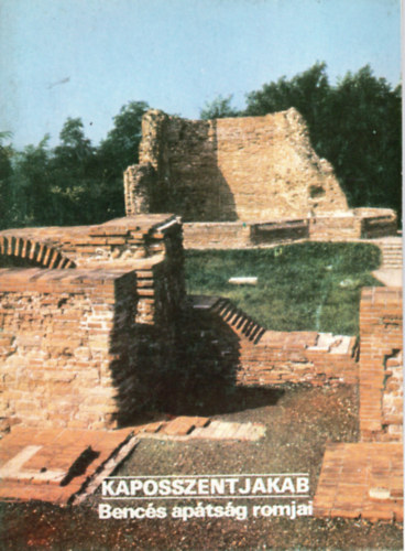 �ri Istv�n (szerk.) - Kaposszentjakab -Benc�s ap�ts�g romjai- T�jak Korok M�zeumok KIsk�nyvt�ra 68