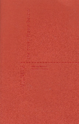 Vilnus - the river flows below