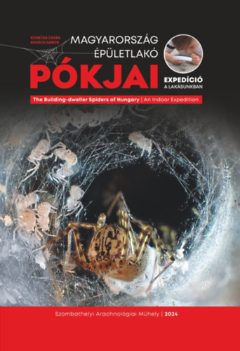 Szinetr Csaba, Kovcs Gbor - Magyarorszg pletlak pkjai