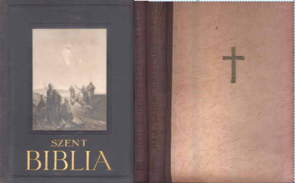 Kldi Gyrgy S. J. (ford.), Hall Caine - SZENT BIBLIA - A VULGATA SZERINT KLDI GYRGY S. J. FORDTSA NYOMN+ Krisztus lete I/III. (tredk) ( 3 ktet )