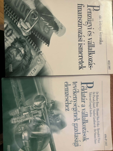 Dr. T�t�nyi Veronika, Blumn� B.E. Dr.Birher I. - P�ldat�r a v�llalkoz�sok gazdas�gtan�hoz + P�nz�gyi �s v�llalkoz�sfinansz�roz�si ismeretek