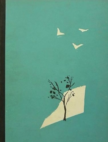 V�RNAI ZSENI - F�nyben, viharban