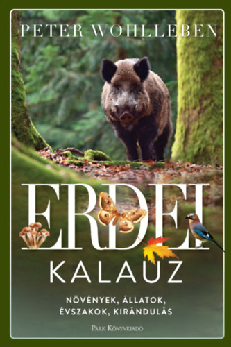Peter Wohlleben - Erdei kalauz