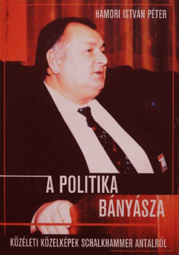 Hmori Istvn Pter - A politika bnysza