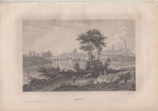 Aarau (város, Svájc, Európa) (16x23,5 cm lapméretű eredeti acélmetszet, 1856-ból)