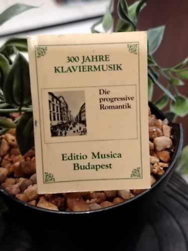 300 Jahre Klaviermusik - Die progressive Romantik (minik�nyv)