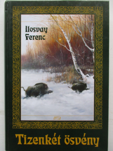 Ilosvay Ferenc - Tizenk�t �sv�ny